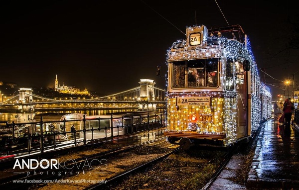 Anabelle Bed and Budapest image 114