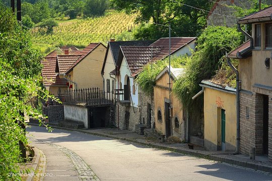 Tour image 8