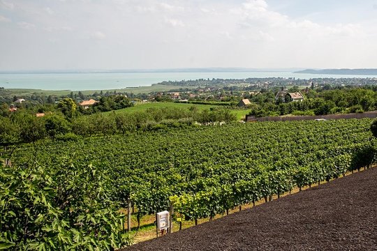 Tour image 9