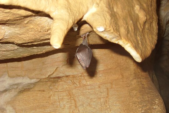 Tour image 11